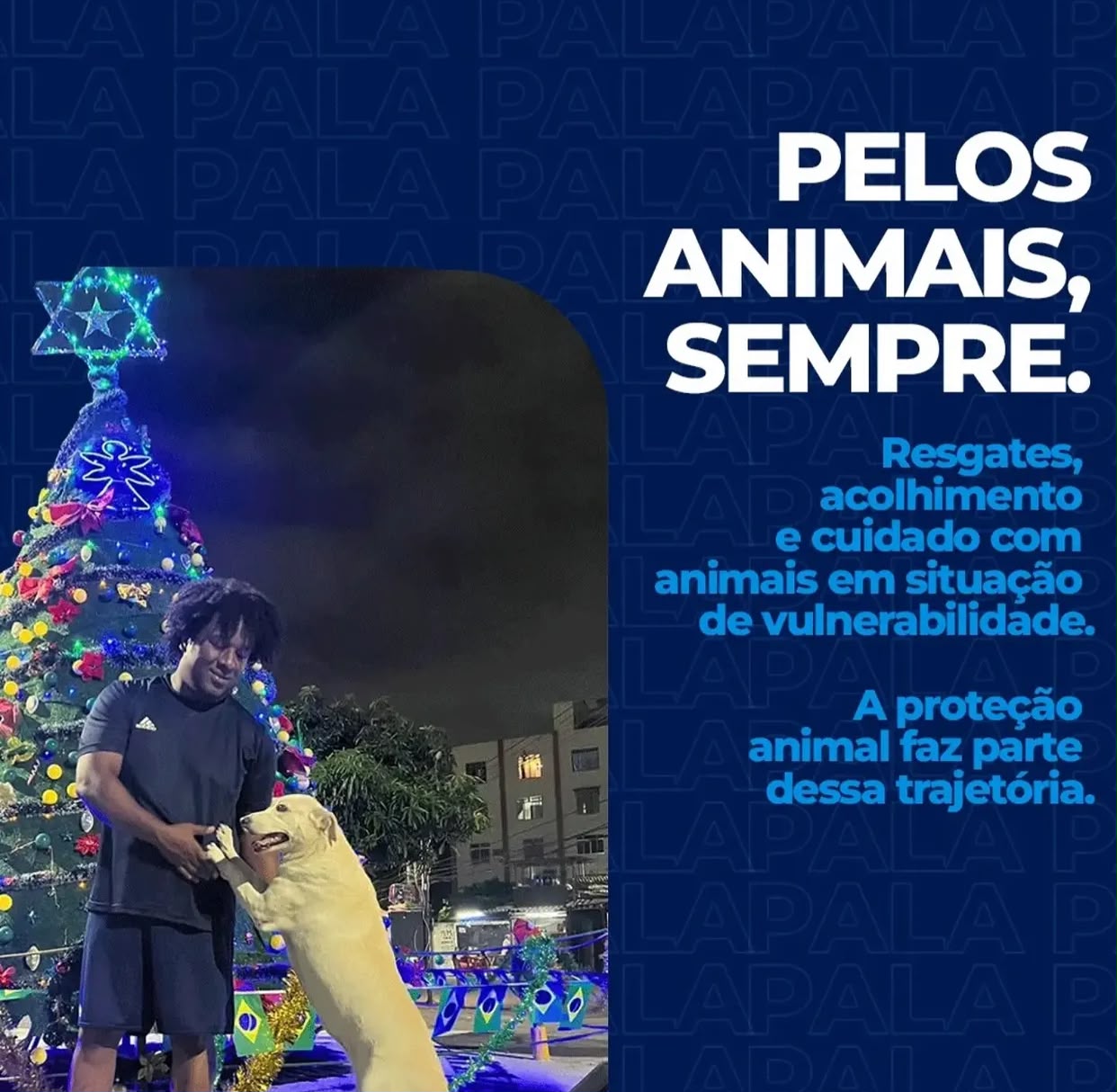 Carreata Pala Pala